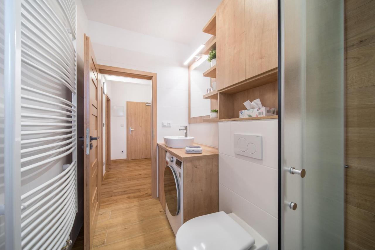 Apartman U Sucheho Buku - Bukova Hora Červená Voda 外观 照片